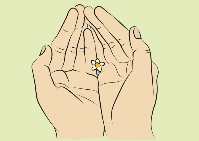 Zeichnung von zwei Händen, die einen kleine Blume zart umschließen